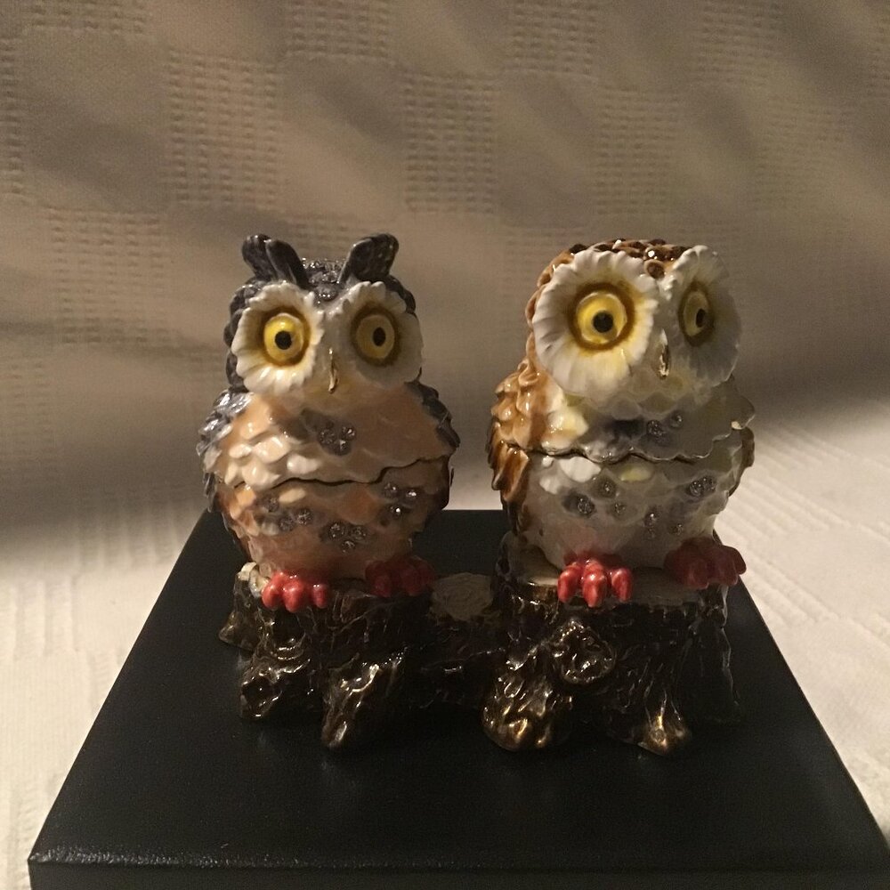 Two Owls Sitting on Tree Trunk LIMITED EDITION Trinket box Keren Kopal OWL2086